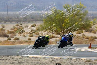 media/Apr-10-2022-SoCal Trackdays (Sun) [[f104b12566]]/Turn 5 Tree of Life (1040am)/